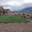 Big crew laying sod near the clubhouse